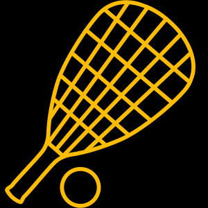 racquetball icon